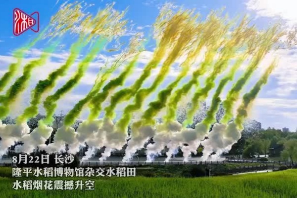 隆平水稻博物馆上空，水稻烟花震撼绽放！