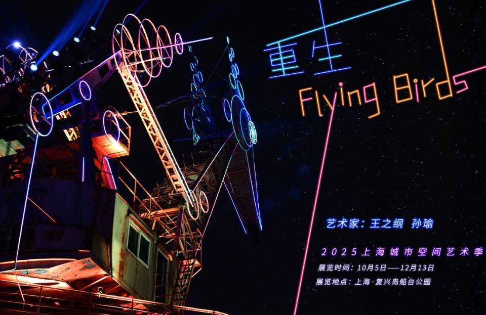 光影艺术装置《重生Flying Birds》