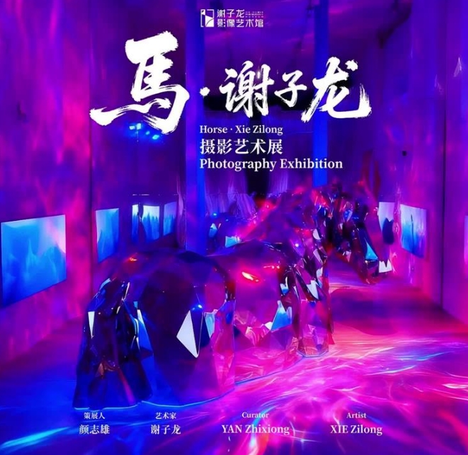 《马・谢子龙摄影艺术展》震撼开幕 沉浸式影像盛宴点亮五一假期